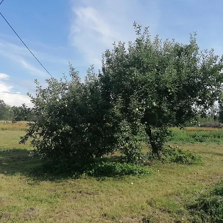 Sillavahi Telkimisala * Iigaste
